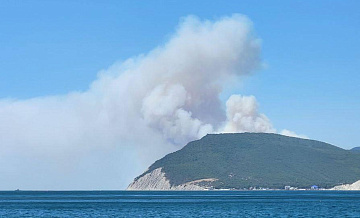 Лесной пожар под Новороссийском тушат более 220 человек