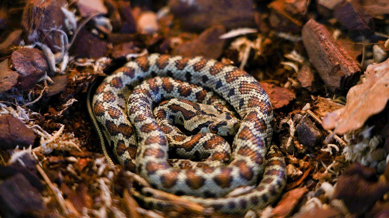 � ���������� �������� �������� �� ���� ������� ������������ ������