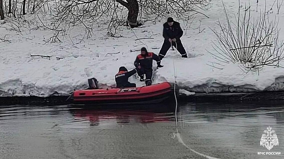 Пропавших в Подмосковье детей ищут около 300 волонтеров