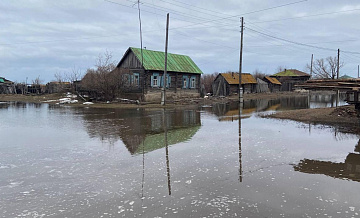 В Курганской области почти 180 домов остаются затопленными из-за паводка