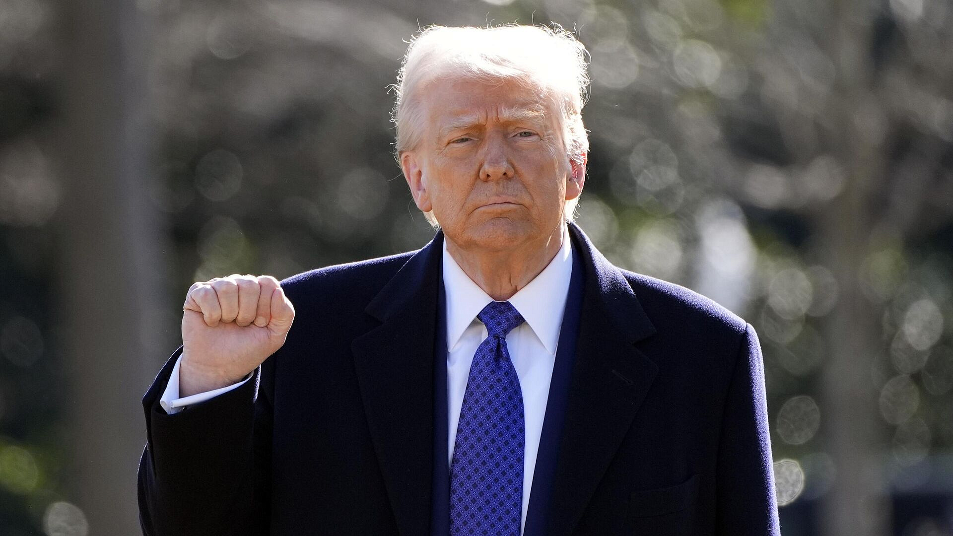 Трамп поддержал проведение выборов на Украине