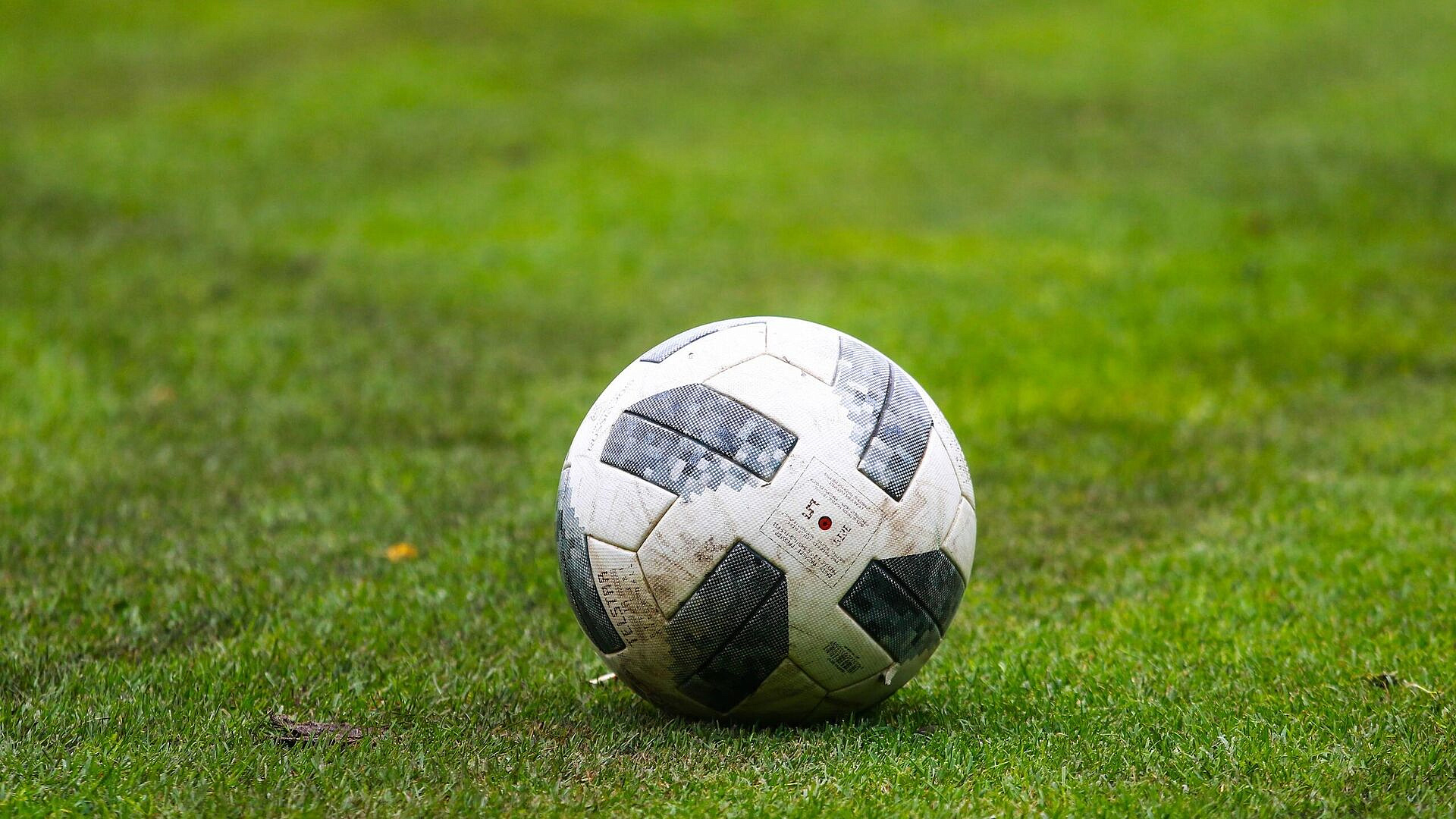 Австралия выдаст визы пяти беглым иранским футболисткам, пишут СМИ