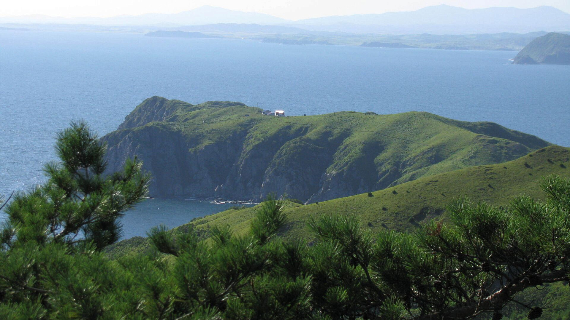 � �������� ����������� ����� �������� ��� ��������