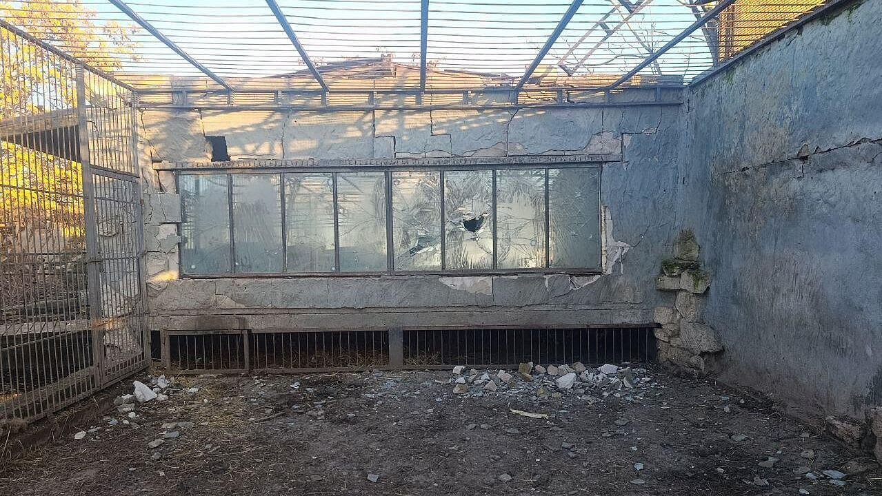 �������� �������� � ����������� ������� ��������� �� ������ ����� ����� ���