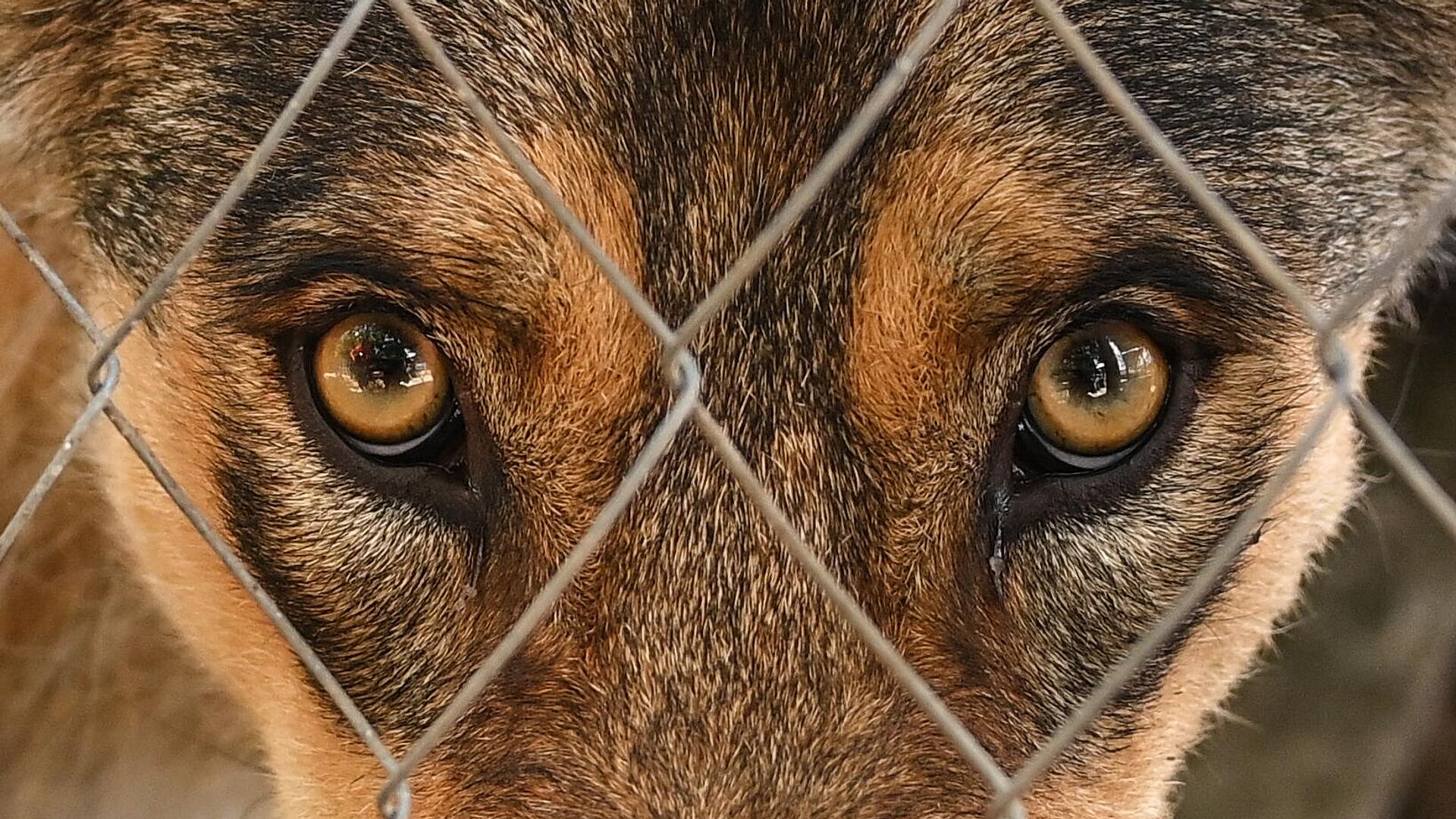 ����������� �������������� �������� ������������ ��-�� ��������� �������