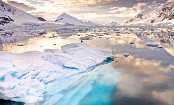 Ледяные керны указали на быструю потерю льда в Антарктиде