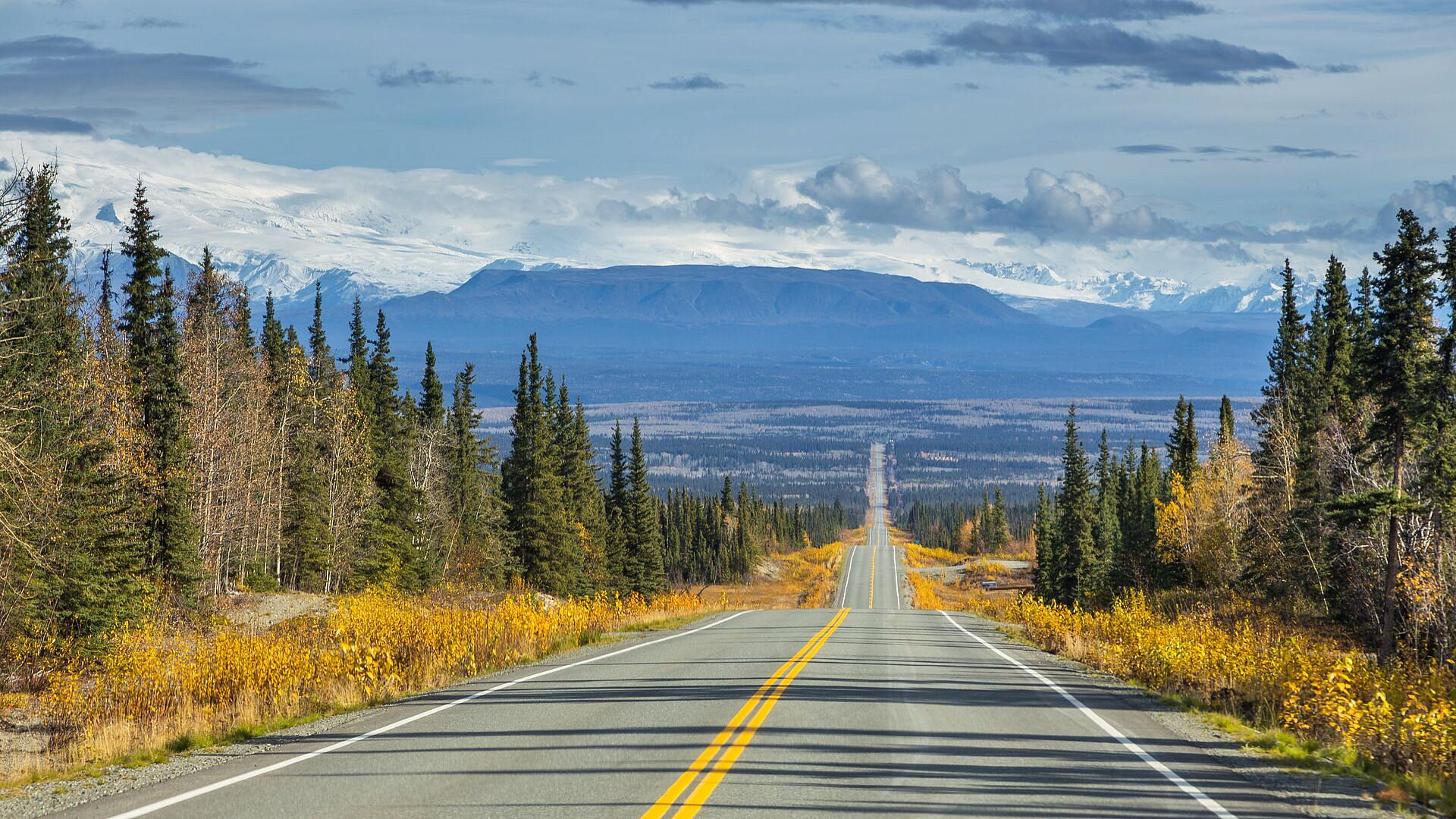 Эксперт прокомментировала выбор Аляски местом саммита России и США