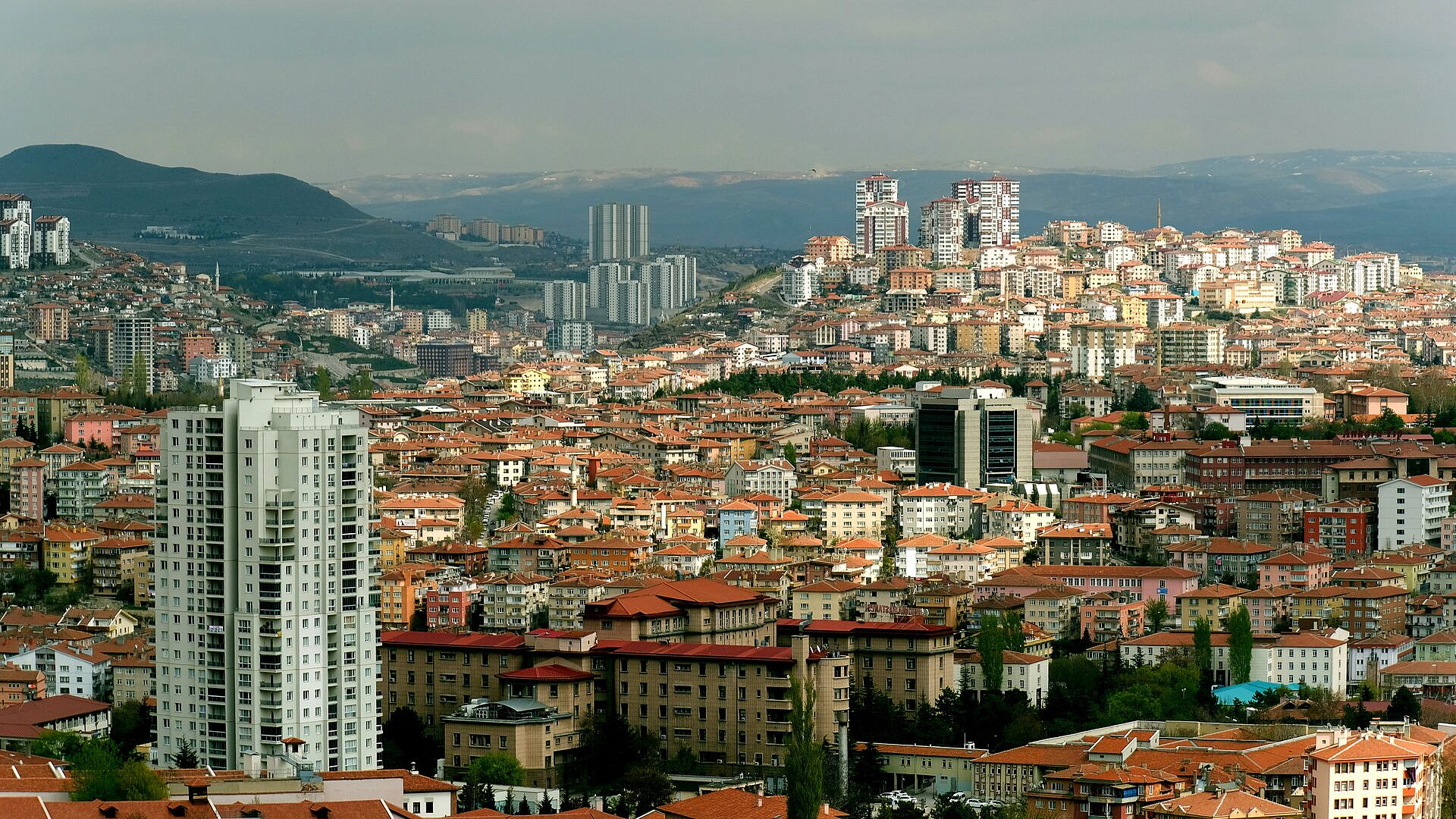 ��� ��������� ��� � ������ ����� ��������� �������������� ��������