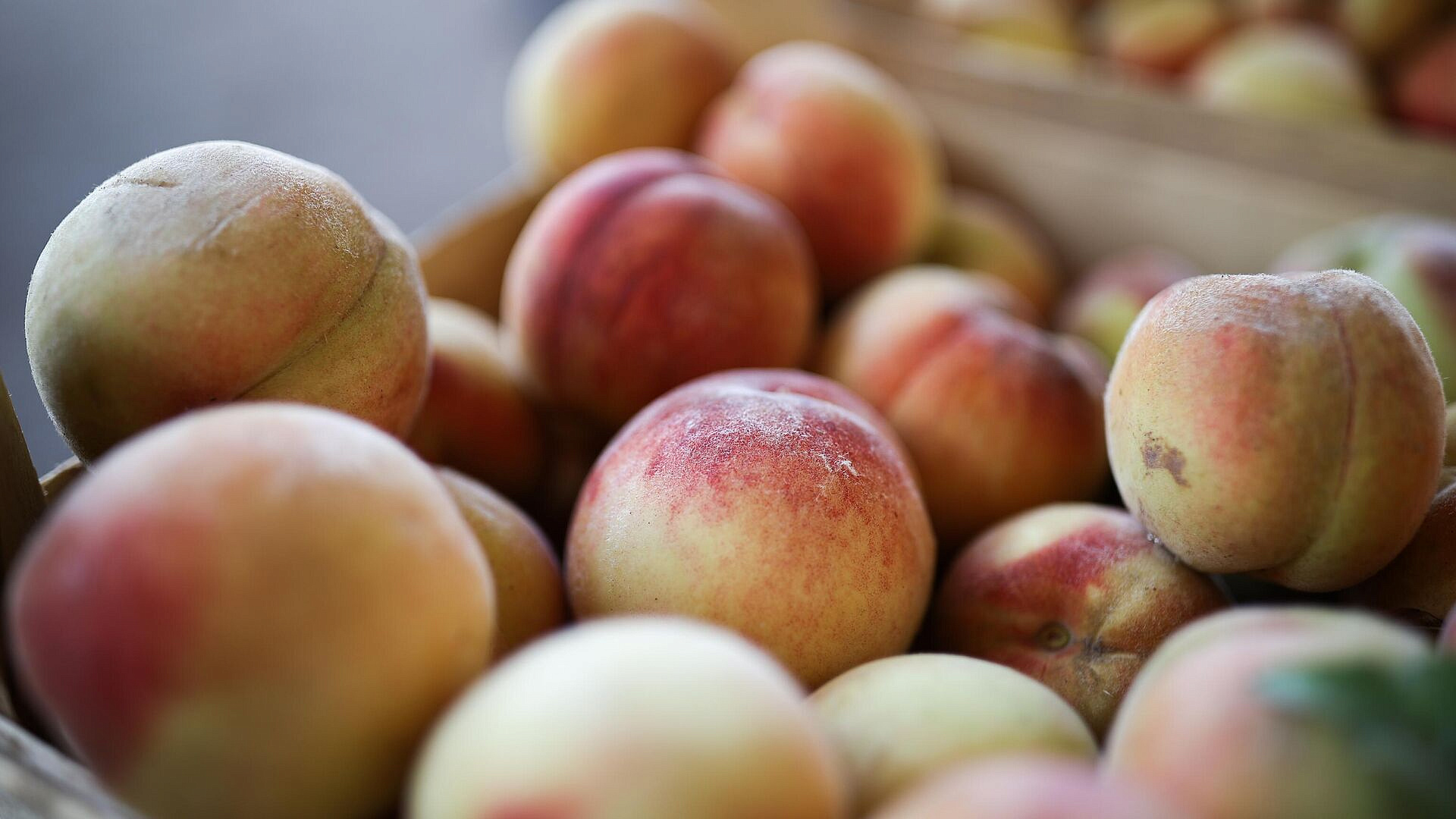 Китай в 2025 году вдвое нарастил поставки персиков в Россию