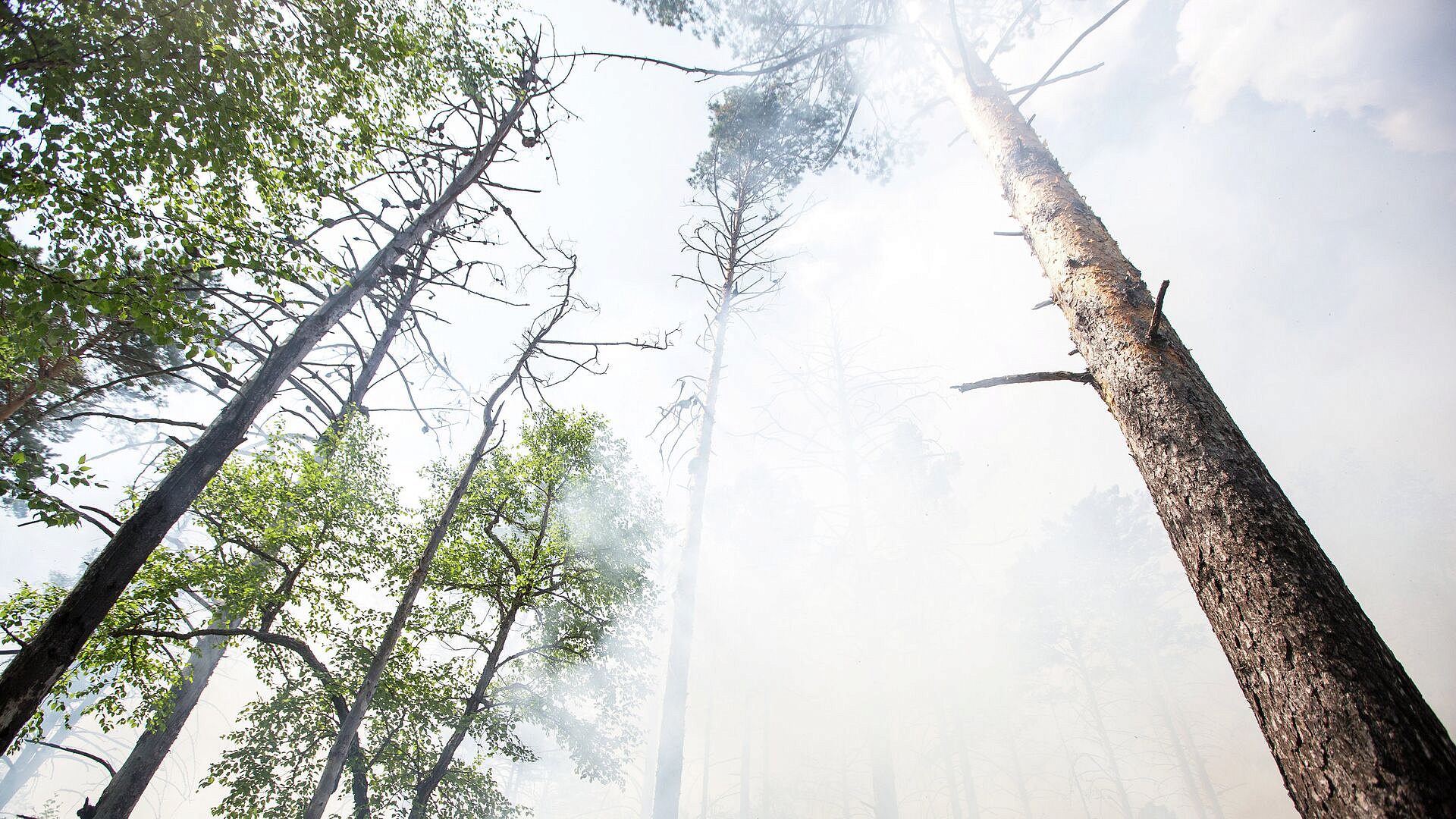 Туристам временно запретили посещать нацпарк и заповедник в Приморье