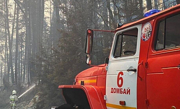 В Карачаево-Черкесии локализовали лесной пожар