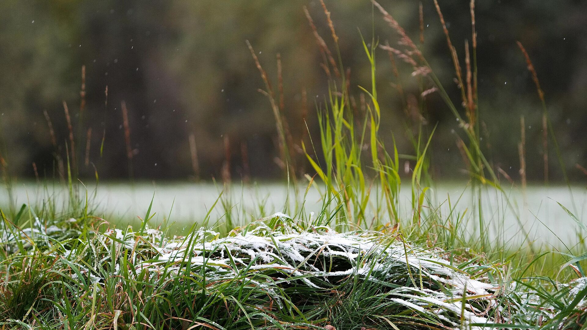 � ������ ����� ������ ����