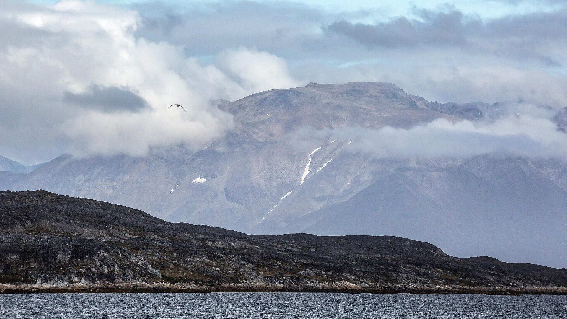 Премьер Гренландии призвал решительно отвергнуть слова Трампа про аннексию