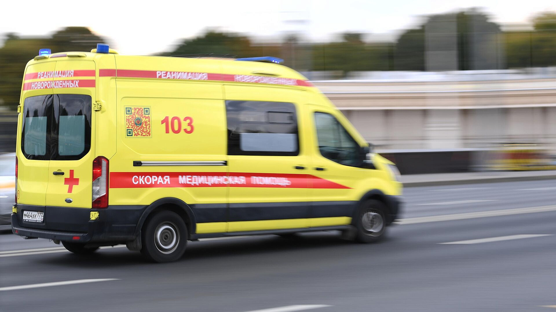 � ������ ����������������� ������� ����� ��������� ������� 