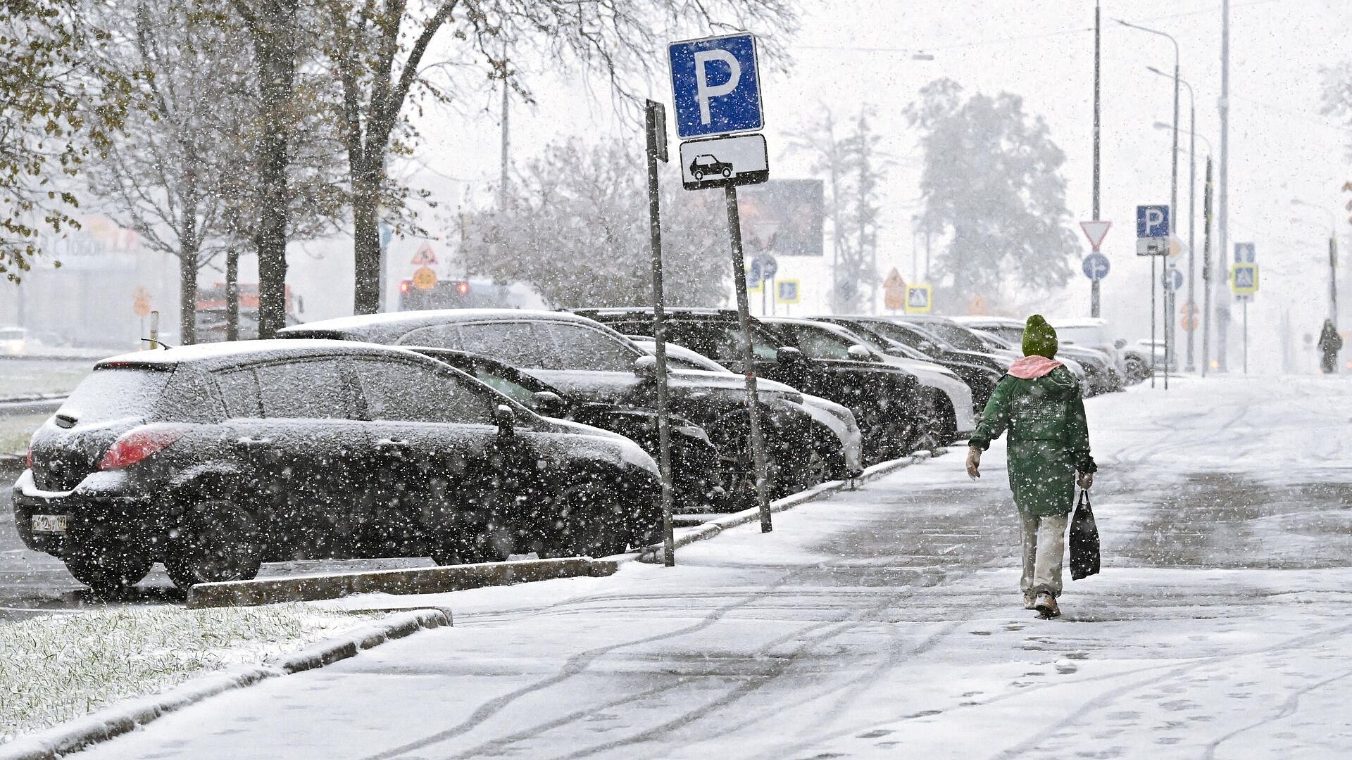 ��������� ������������ � ������� �����������