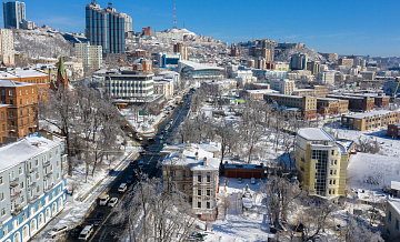 Во Владивостоке штормовой ветер повалил деревья