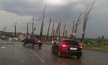 В Кушве из-за торнадо произошли падения деревьев, опор ЛЭП и срывы кровель 