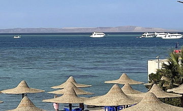 ��������� ����������� �� ���� �������� ���������, ����������� � �������