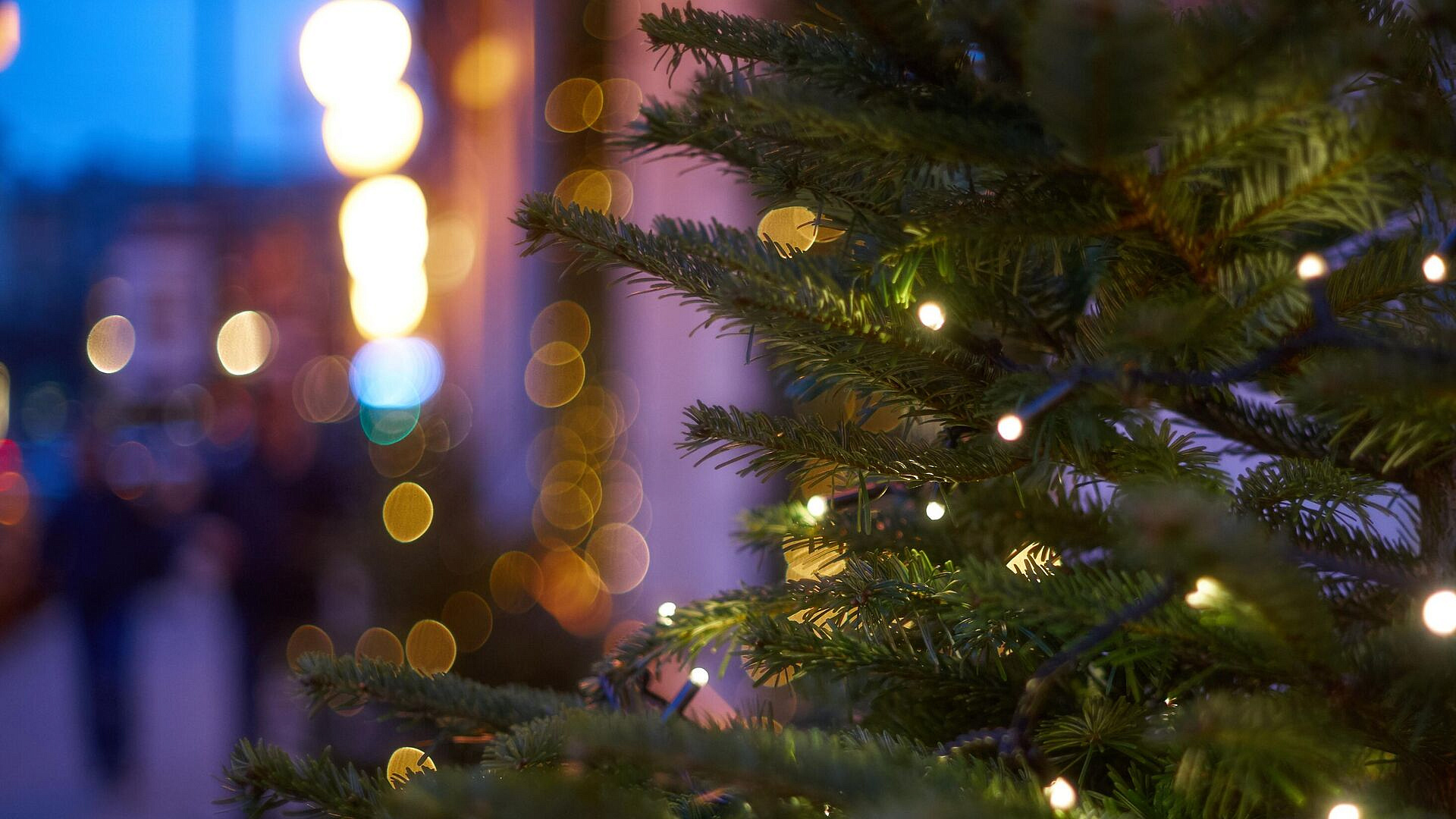 ����� �������, ������� ����� �������� ��������� ��������� �� ����� ���