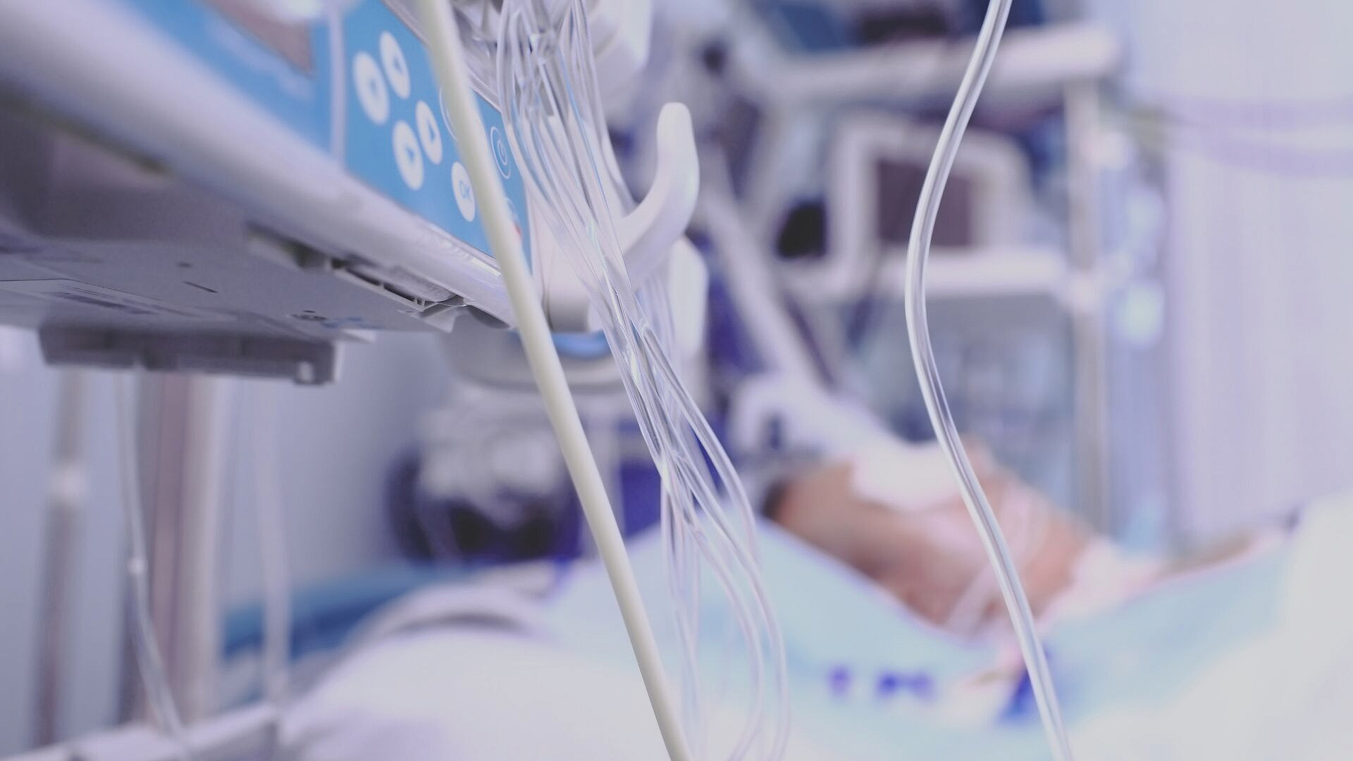 �������� �������� �������� ��������� � ��������� ������������ � ������