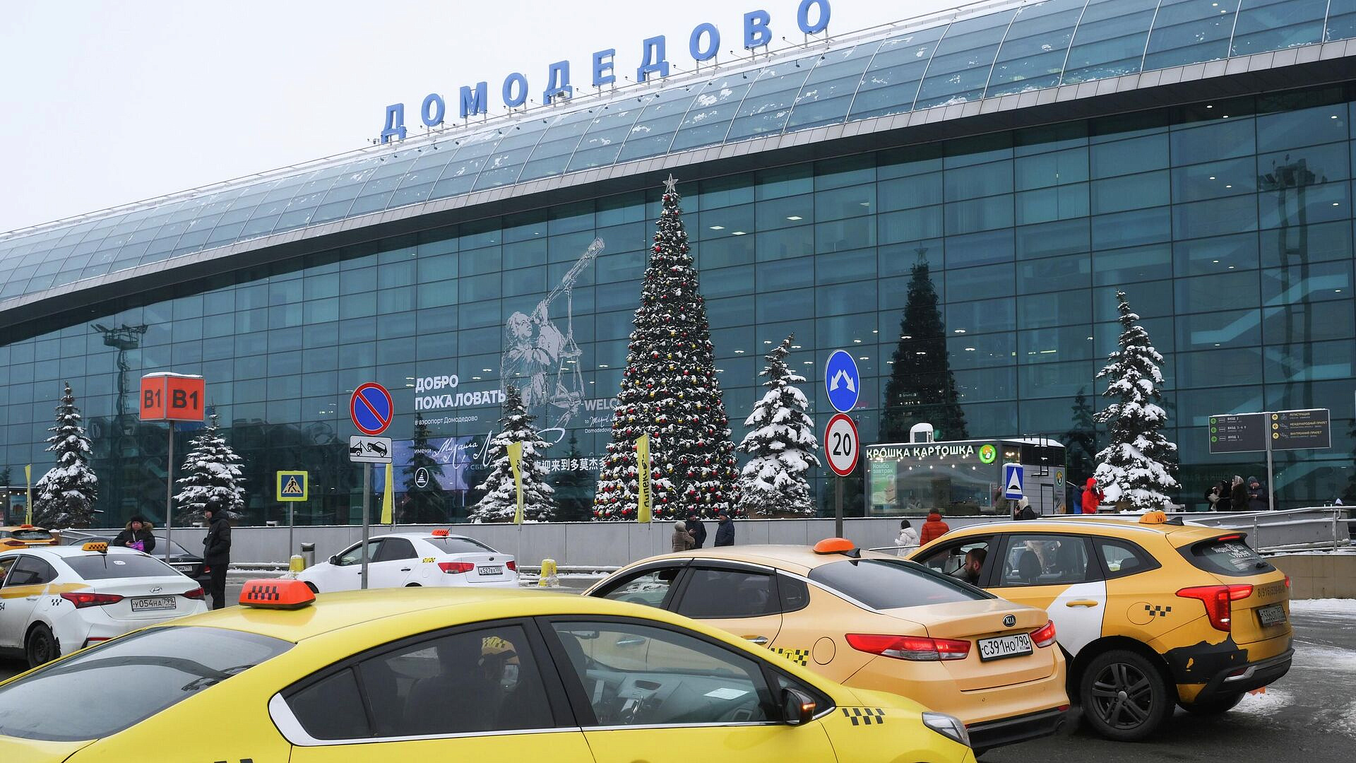 В аэропортах "Домодедово" и "Жуковский" ввели ограничения