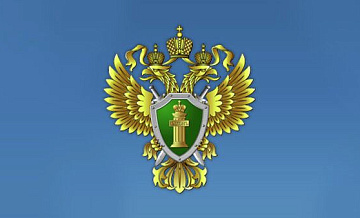 В Ярославле прокуратура начала проверку после схода снега с крыши на людей