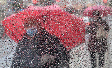 В центре Москвы выпала половина месячной нормы осадков