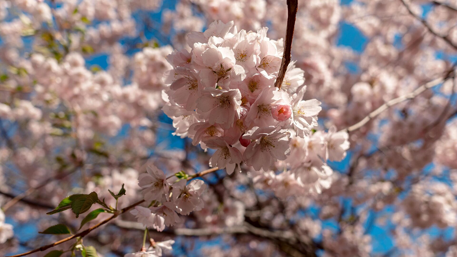 � ������������ ���� � ���������� ������� ������