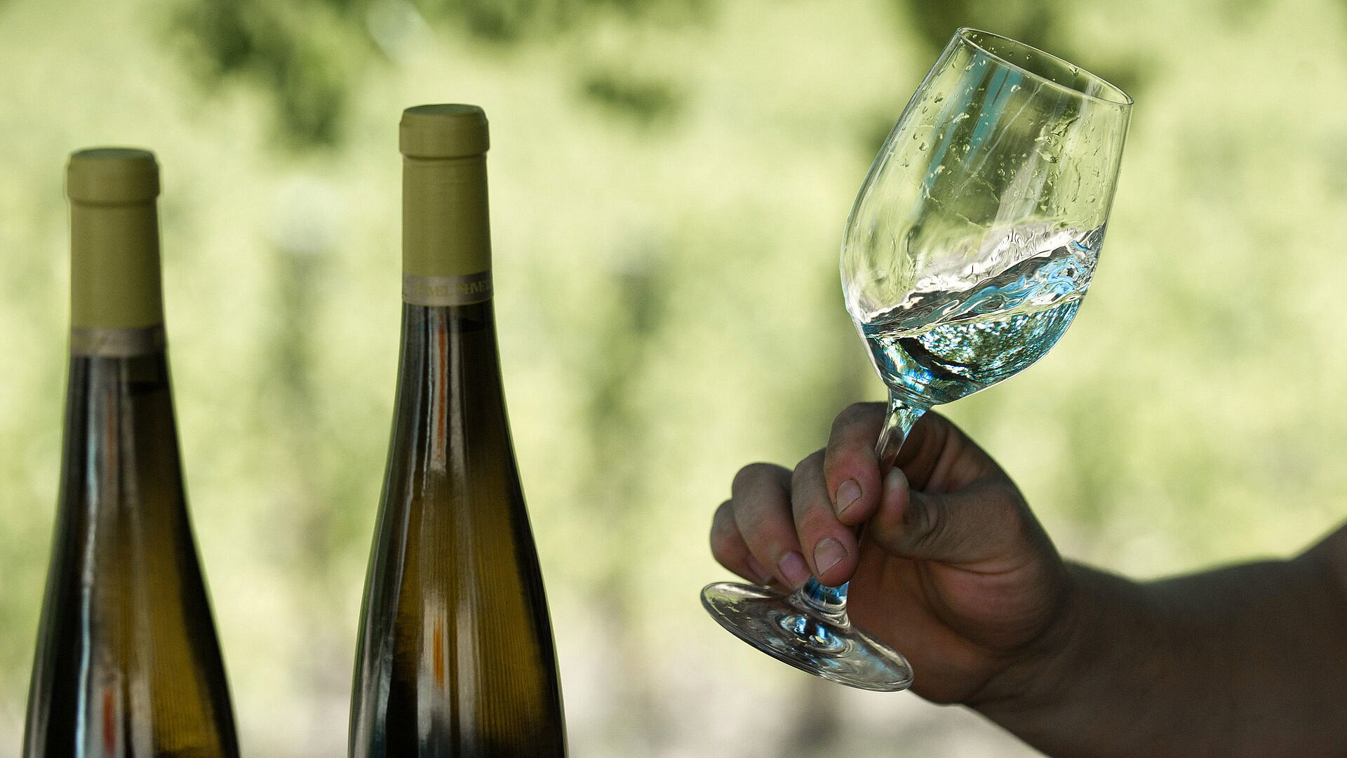 ����������� ����������, ����� ���� ���� ��������� ����