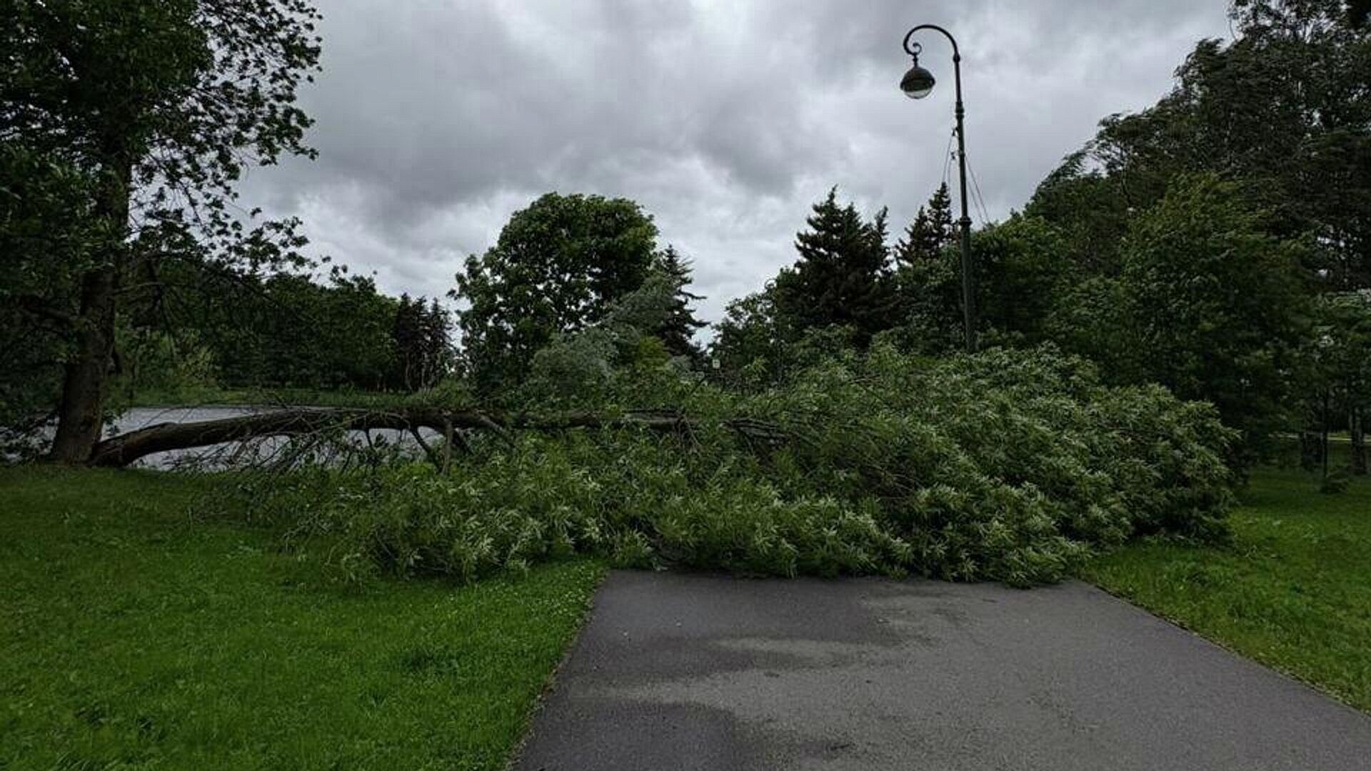 ��� ���������� ���������� ���������� �� ������� ��������