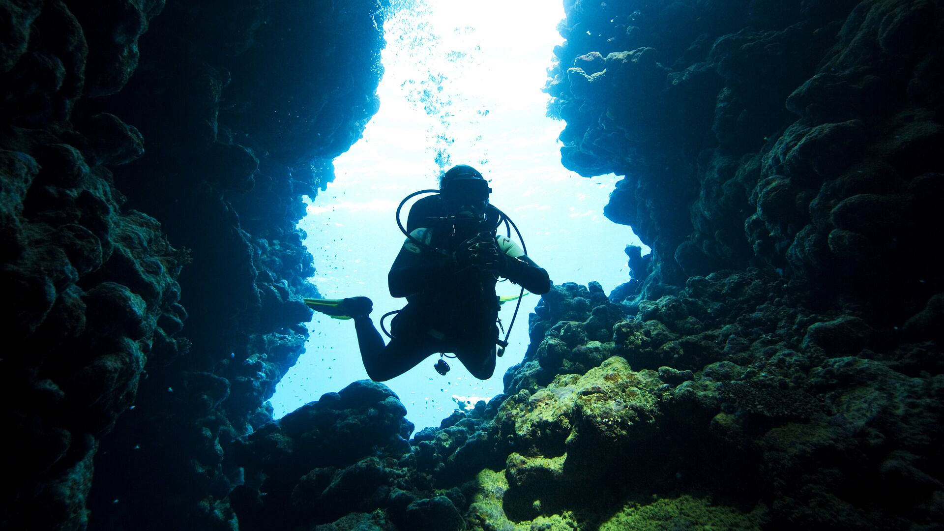 Эксперт рассказал, кому запрещен дайвинг