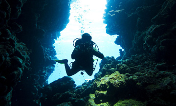 Эксперт рассказал, кому запрещен дайвинг