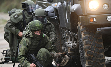 В Совфеде отреагировали на заявление МИД Турции об условиях мира на Украине