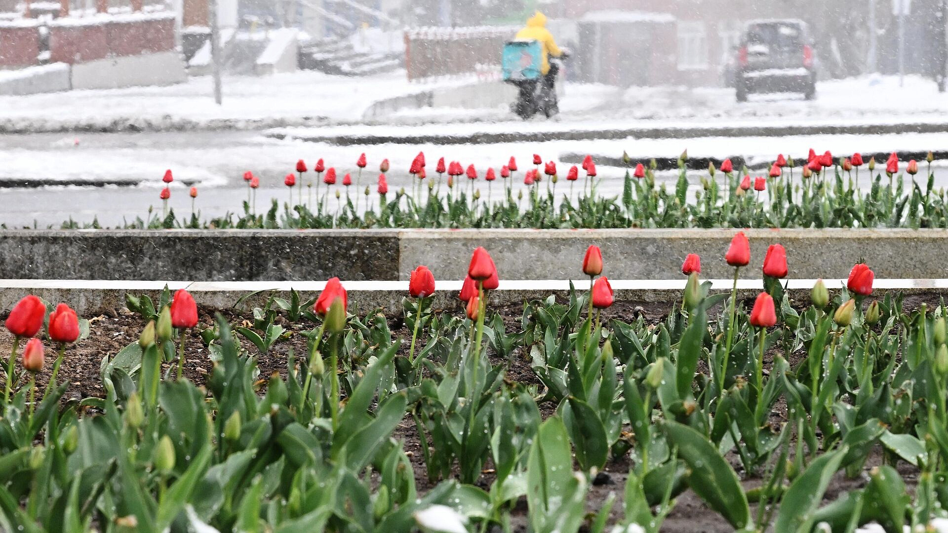 ����� ������ ������: ��������� ������� � �������� ������������� ������