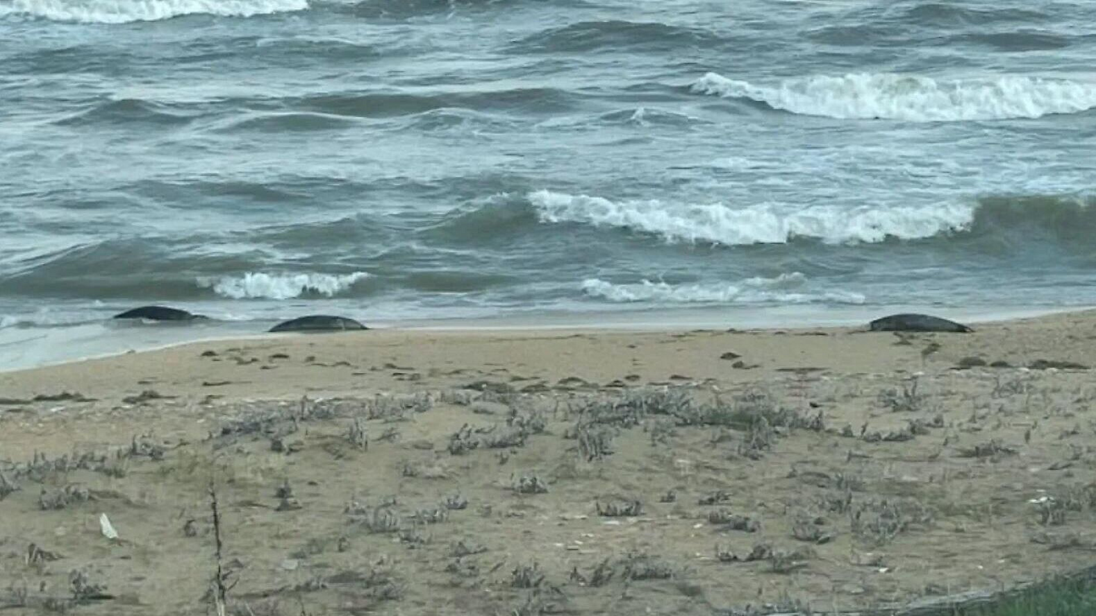 �� ��������� � ��������� ���������� ��������� ������� ���������� �������