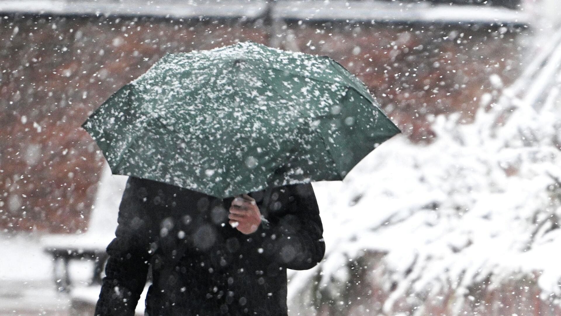 � ������ ��������� ������ �������� � ����� ���������� ����������