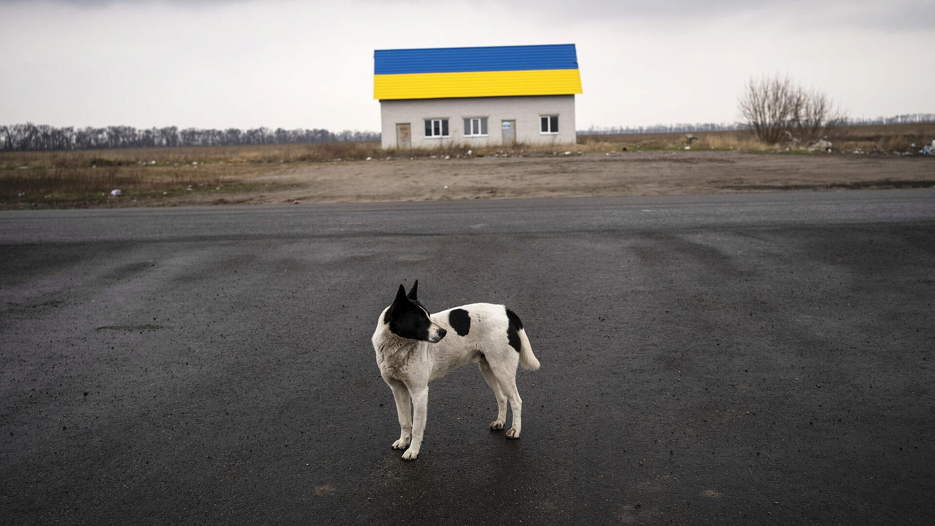 "���� �� �����?": � ����� ������� � ������� ������� "�����" �������