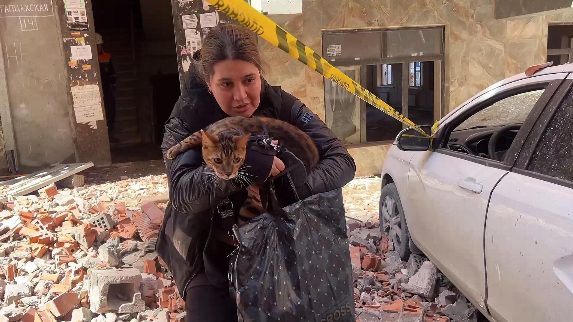 В Махачкале спасли кота, во время взрыва в доме спрятавшегося за кроватью В Махачкале спасли кота, во время взрыва в доме спрятавшегося за кроватью