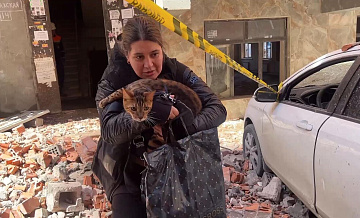 В Махачкале спасли кота, во время взрыва в доме спрятавшегося за кроватью