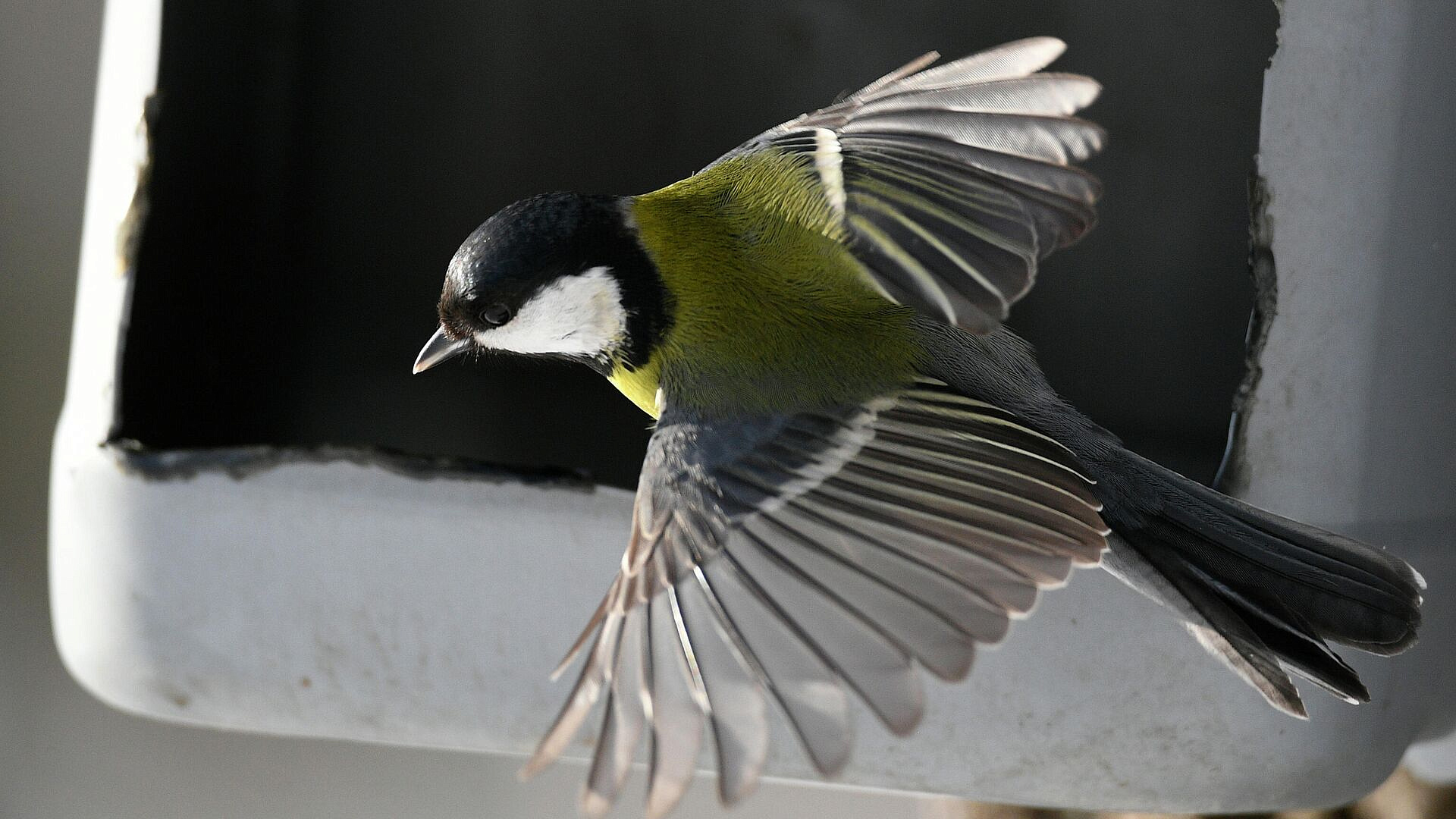 � ���������� �������� ����������, ��� ������������� ���� � ��������