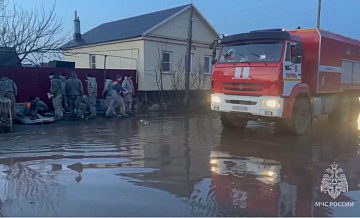 Жительница Орска рассказала, как МЧС спасали корову во время паводка