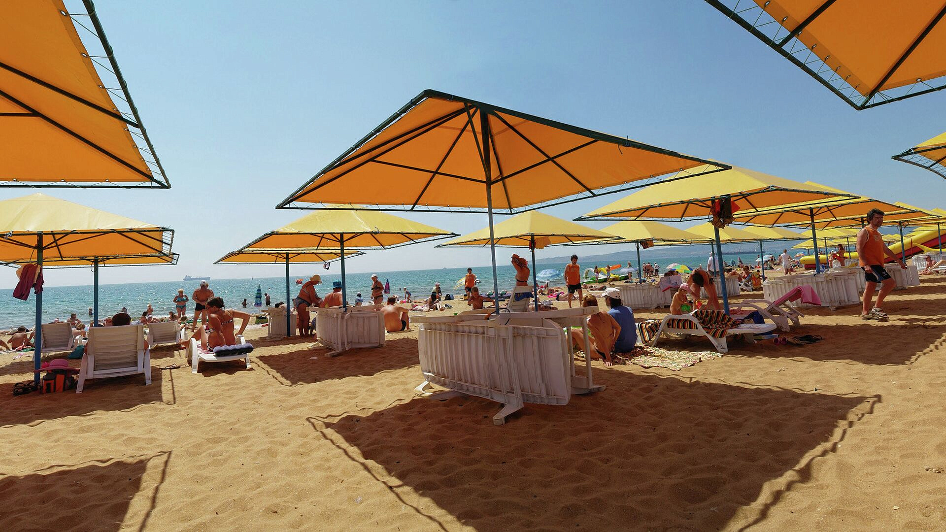 ���� ������ ������� �������� ������ �����, ������ ���