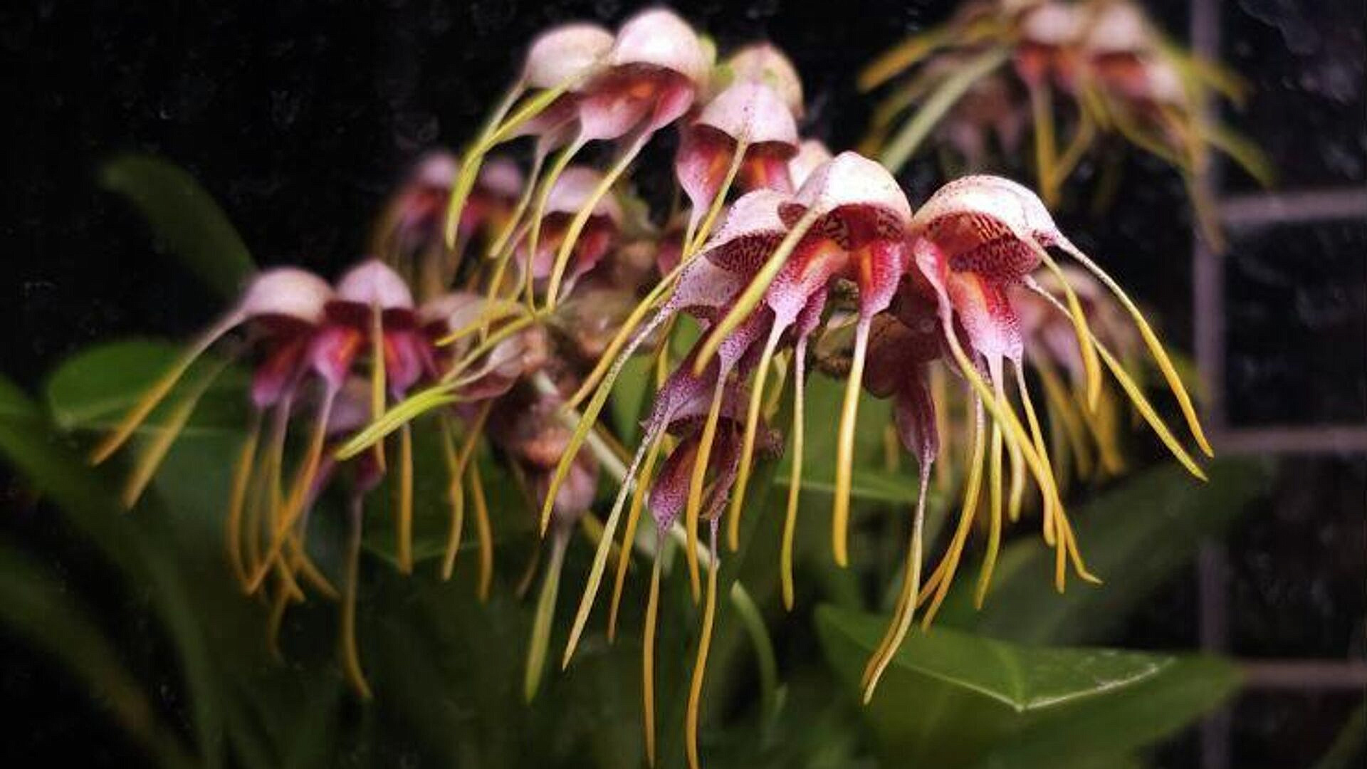 � ����������� ������� � ������ ����������� ������ �������