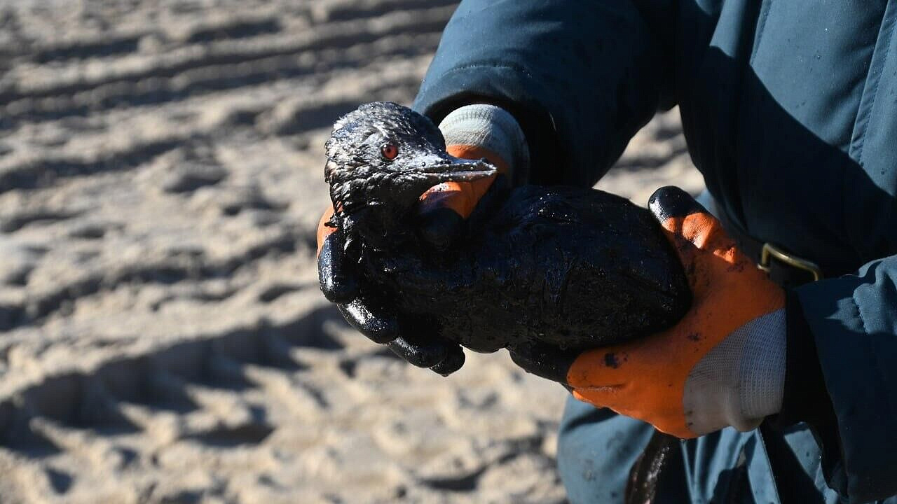 � ����� ������� ���� �� ������ ������������ �� ������� ������ ����