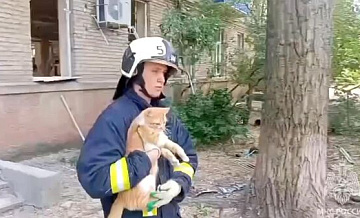В Луганске спасли кота из завалов жилого дома