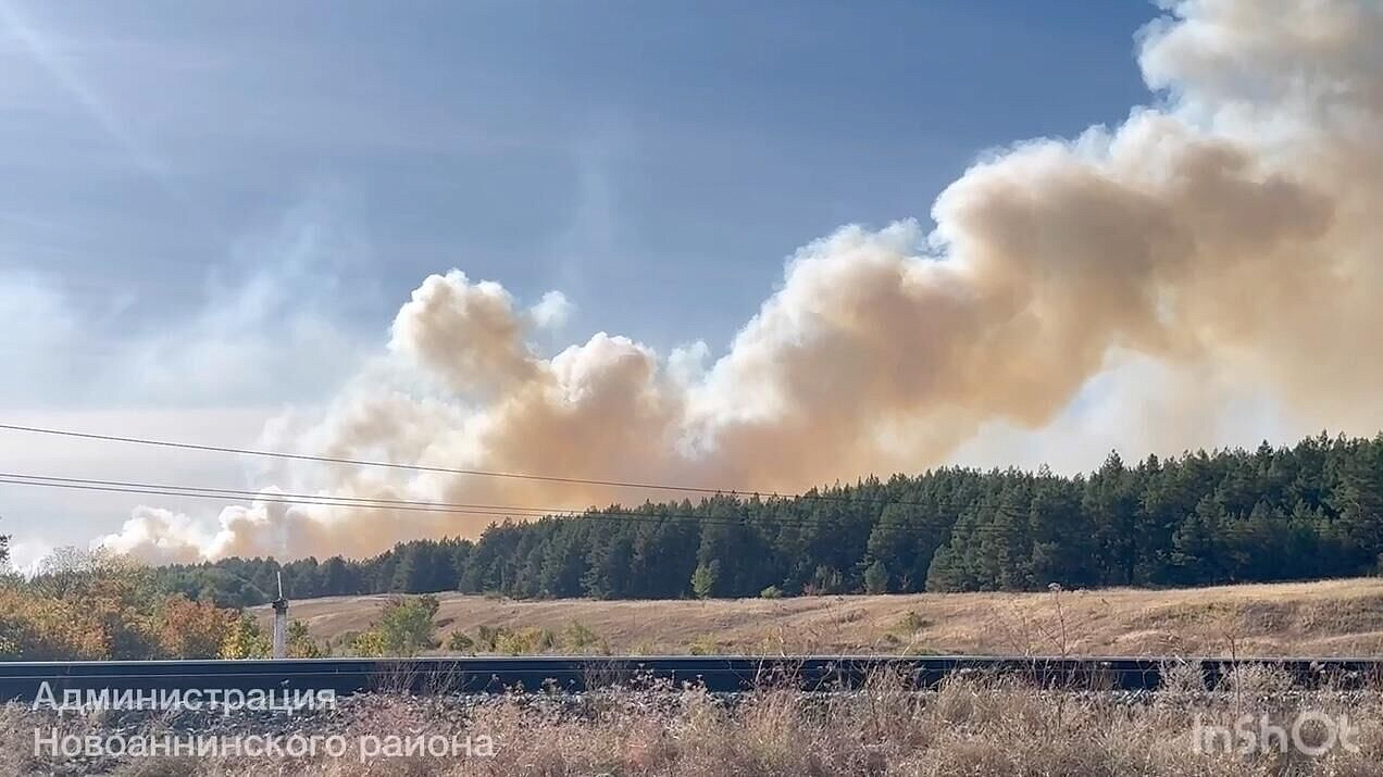 Лесной пожар в Волгоградской области локализовали