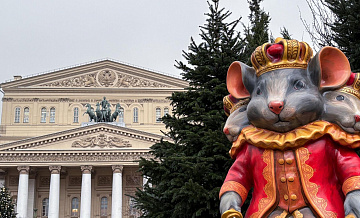 ����� �������� ����������� ������� ����� � "����������" 31 �������