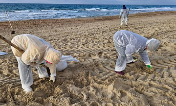 На Кубани к врачам обратились почти 150 убирающих мазут волонтеров