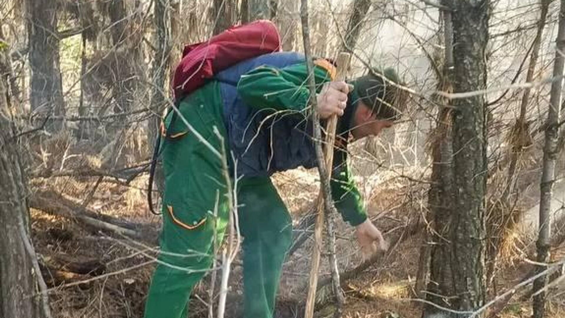 На Кубани потушили лесной пожар в районе Архипо-Осиповки