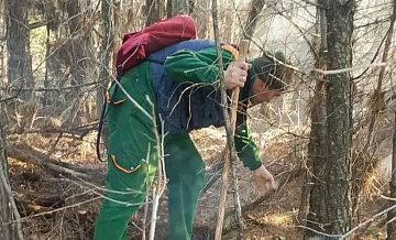 На Кубани потушили лесной пожар в районе Архипо-Осиповки